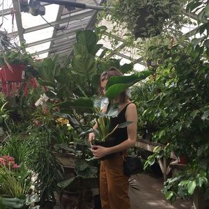 Meet your Posher, Elyse